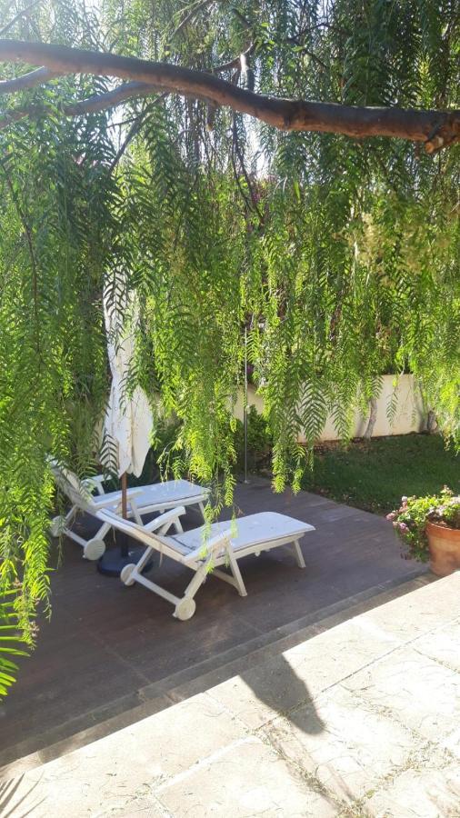 Dream Garden Apartment Santa Cruz de Tenerife Ngoại thất bức ảnh