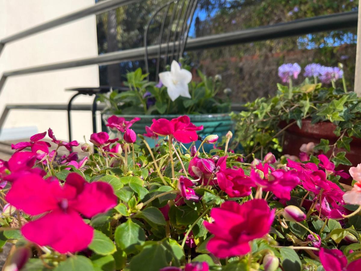 Dream Garden Apartment Santa Cruz de Tenerife Ngoại thất bức ảnh