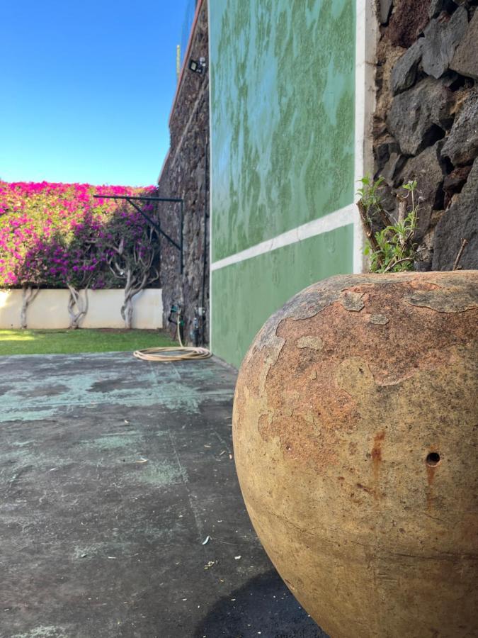 Dream Garden Apartment Santa Cruz de Tenerife Ngoại thất bức ảnh