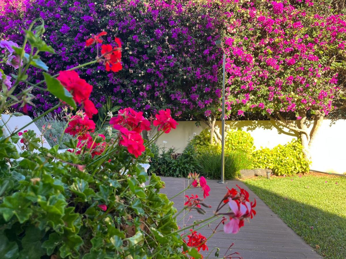 Dream Garden Apartment Santa Cruz de Tenerife Ngoại thất bức ảnh