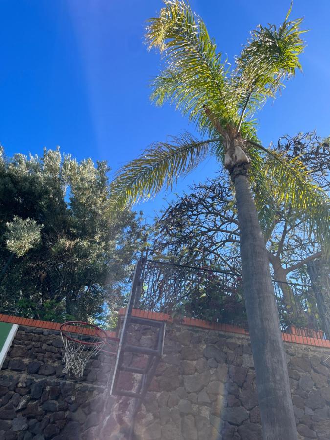 Dream Garden Apartment Santa Cruz de Tenerife Ngoại thất bức ảnh