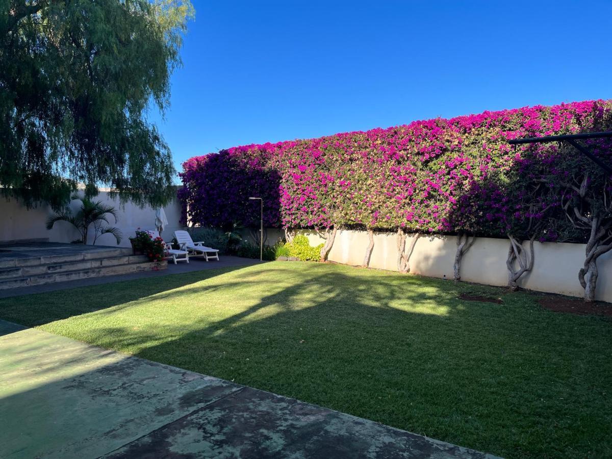 Dream Garden Apartment Santa Cruz de Tenerife Ngoại thất bức ảnh